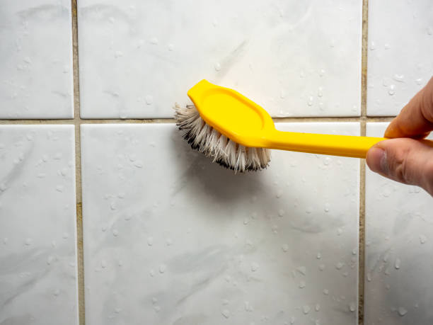 Best Professional Mold Removal  in Bay City, MI