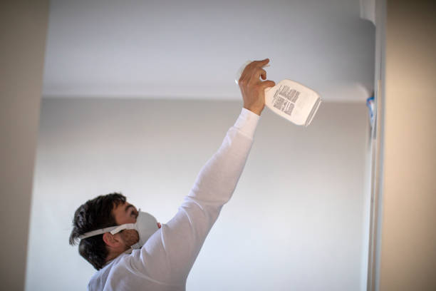 Best Mold Cleaning Services  in Bay City, MI